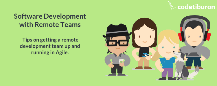 Remote Agile Team of Developers